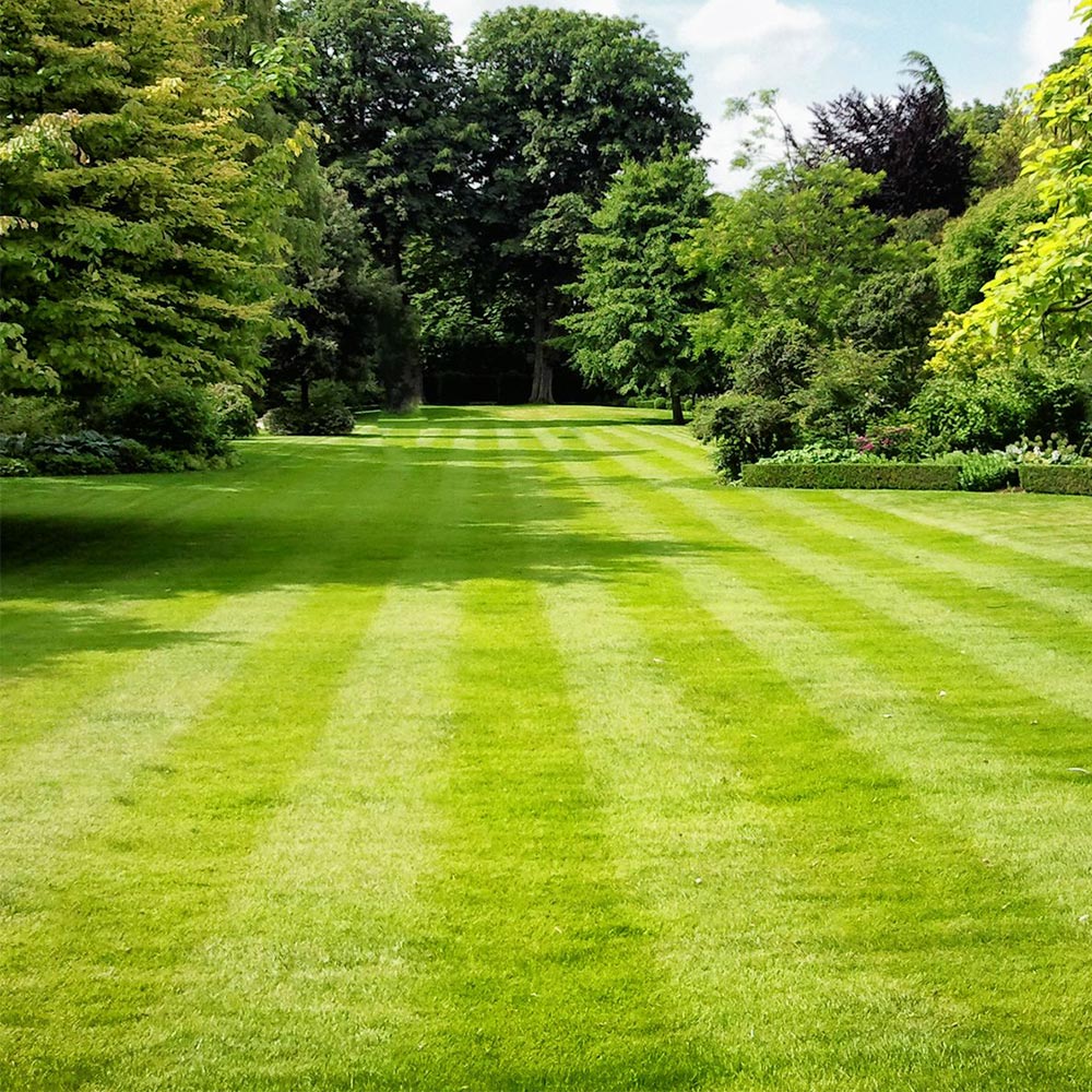 New Lawns by Coles Landscaping, fresh turf from turfing to complete field covers.